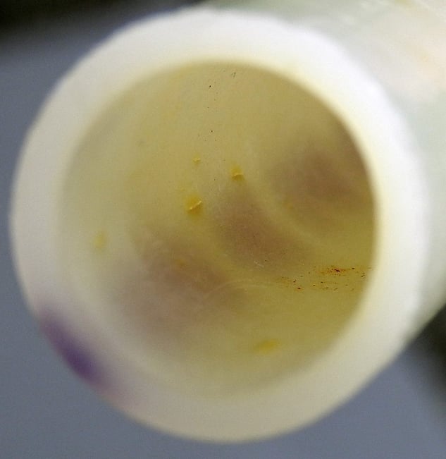 Chlorine Failures in PEX Pipe Plague Washington Home Corzan