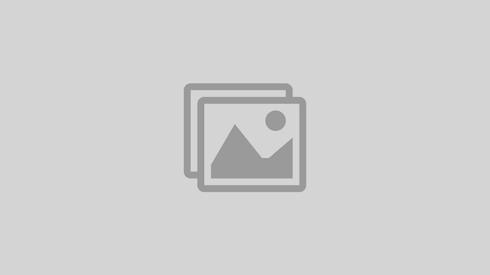 placeholder-dark